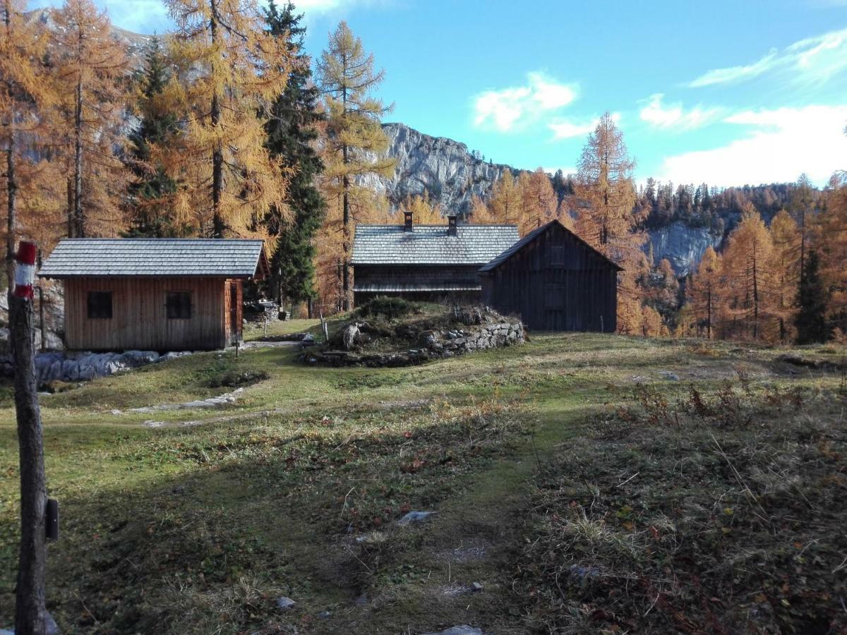 Ferienwohnung Wohlfahrter Bad Mitterndorf Exterior foto